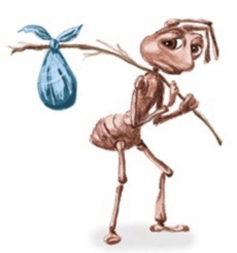 skir.jpg